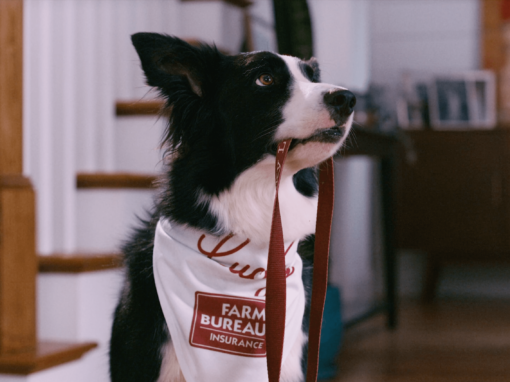 Georgia Farm Bureau  // Lucky